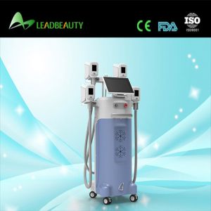 Buy cheap 2015 Best seller! Touch screen vacuum cryolipolysis with top quality from wholesalers