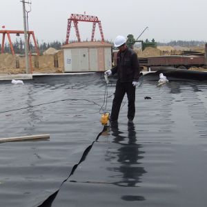 Buy cheap Glossy Geomembrane Fish Farm Water Pond Liners 1mm 1.5mm for Glossy Finish Ponds from wholesalers