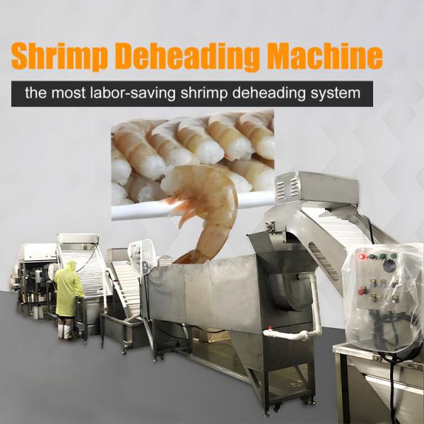 Buy cheap Automatic Light Sensitive Shrimp Head Screening Machine Intelligent Shrimp Head Sorting Machine from wholesalers