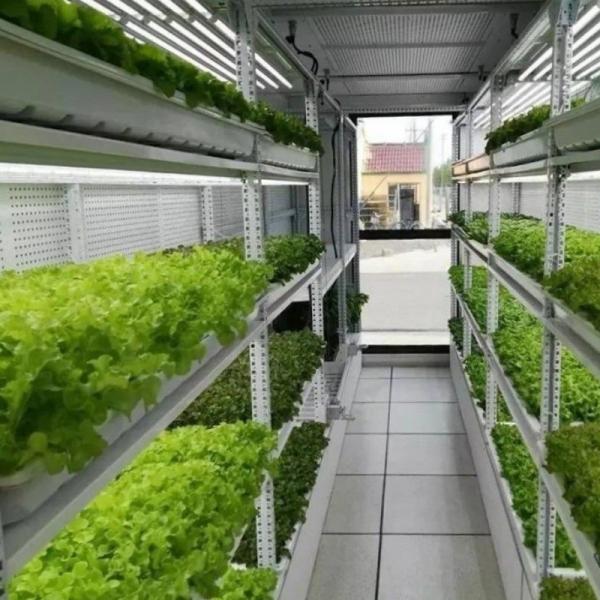 Quality Type Intelligent Control Agriculture Hydroponic Container Farm for Customized Request for sale
