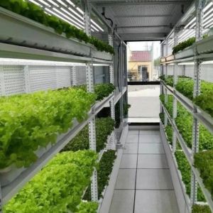 Buy cheap Type Intelligent Control Agriculture Hydroponic Container Farm for Customized Request from wholesalers