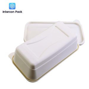 Takeaway Sugarcane Bagasse Food Container Biodegradable Disposable With