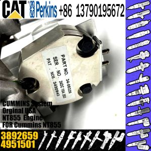 Buy cheap NTA855 engine fuel system spare parts fuel injection pump PT pump 4951501 3262033 3045281 3892659 from wholesalers
