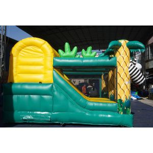 Kids Tarpaulin Inflatable Jumping House Bouncy Castle Combo With Slide