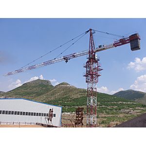 TC5008B 4T load 50m boom small tower crane with good price