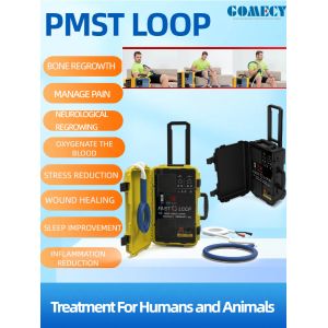 PMST Loop Pulsed Magnetic Therapy Machine With Butterfly Loop For Relieves Pain