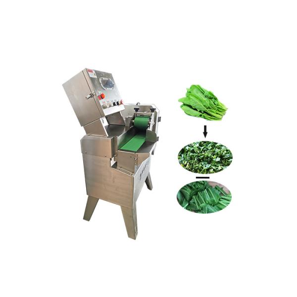 Quality 220v 50hz 0.37kw 500kg/H Vegetable Cutter Machine for sale
