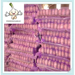 Buy cheap Snow White Garlic Natural White Fresh Garlic from China New season from wholesalers