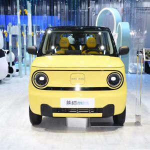 China City Driving Chinese Mini Electric Car with Multi-function Steering Wheel and 1-25000 Miles Mileage on sale