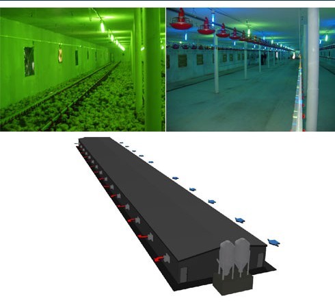 Quality Chicken houseTemperature mechanical pig farm cooling system for sale