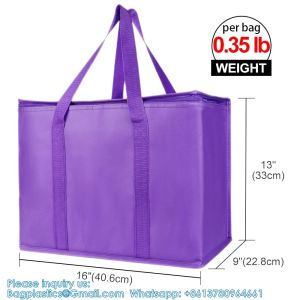 Sustainable, Recyclable, XL Insulated Food & Grocery Delivery Bag - For Catering