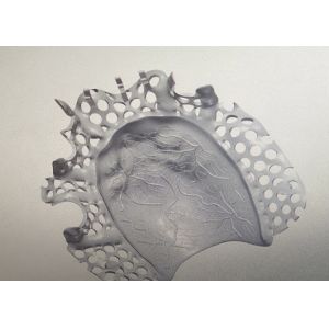 Buy cheap CAD Design Titanium Alloy Partial Denture Metal Framework product