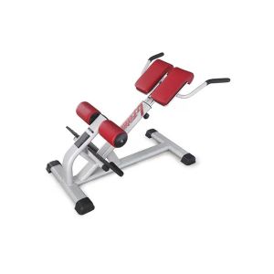 Buy cheap Pro Commercial Gym Rack Exercise Equipment Back Extension Bench from wholesalers