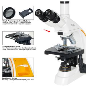 Buy cheap 1000x Compound Optical Microscope A12.0205 Trinocular Led Light Source from wholesalers
