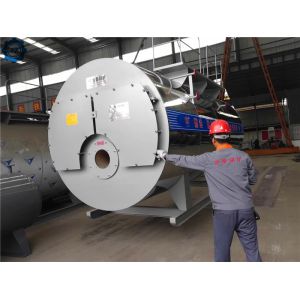 China High Efficiency Industrial Diesel Fired Steam Boiler For Mushroom Cultivation on sale