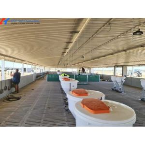 Buy cheap Customized Piggery Farm Equipment Fully Automatic Pig Wet Dry Feeder from wholesalers