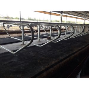 Buy cheap Dairy Farm Livestock Divided Panels Q235 Cow Free Stall from wholesalers