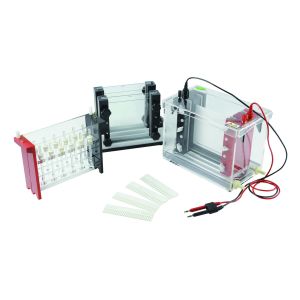 Buy cheap 13.2 Kg 2d Gel Electrophoresis System 460 × 230 × 400 Millimeter Volume from wholesalers