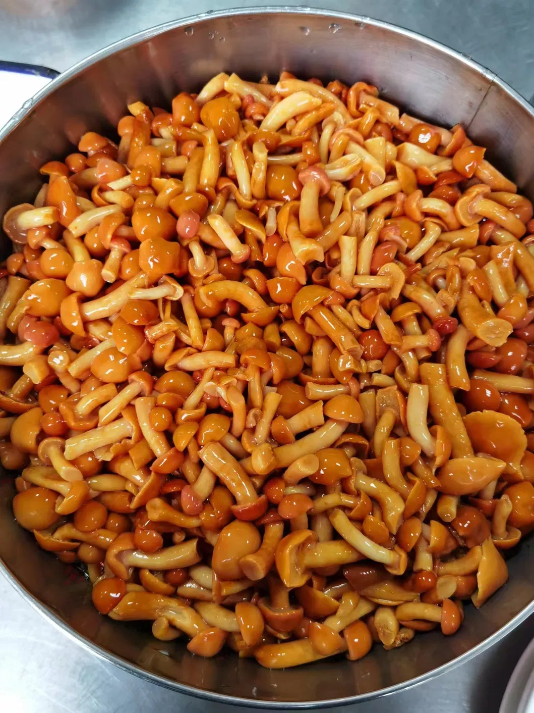 Canned Nameko in Brine in Drum/Jar/Tin Supplier
