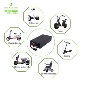 CTS Intelligent BMS Lithium Battery - Custom Capacity & Voltage for E-Bikes