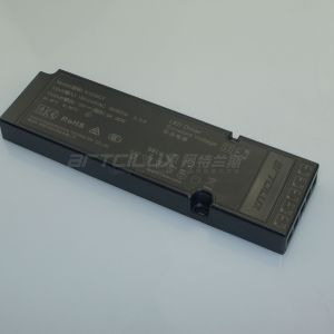 Constant Voltage 12W to 60W DC Power Supply Smart LED Driver 12V / 24V