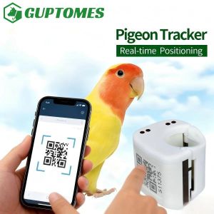Buy cheap GPS LBS Dual Mode Bird Parrot GPS Tracker 2G With Flight Path And Historical Trajectory from wholesalers