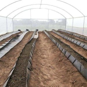 Soilless Growing System PP Growing Trough Colletcing Trough Black Growing