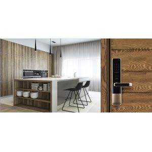 Unibody Design Security Fingerprint Lock With C Range Lock Cylinder