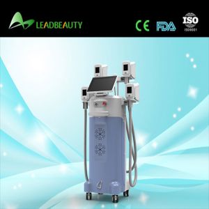 Buy cheap Medical CE approved Cryolipolysis fat freeze Slimming Machine from wholesalers