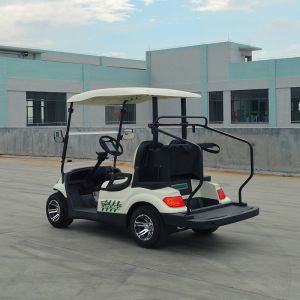 Buy cheap Electric Golf Scooter 6 8 Seats Hunting 2 4 Seater With Curtis Controller from wholesalers
