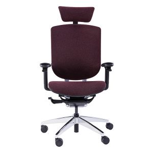 WFH Chair With 4D Armrests Adjustable Lumbar Support Headrest Swivel Executive