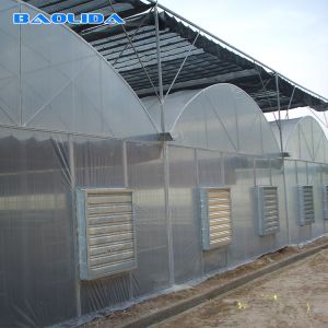 Buy cheap Commercial Poly Tunnel Greenhouse Automated Agriculture Multi Span Greenhouse from wholesalers