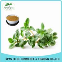 Buy cheap New Design Spices Product Antibacterial Effect Dry Thyme Leaf Extract product