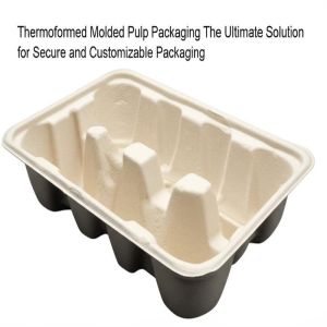 China Thermoformed Molded Pulp Packaging The Ultimate Solution for Secure and Customizable Packaging on sale