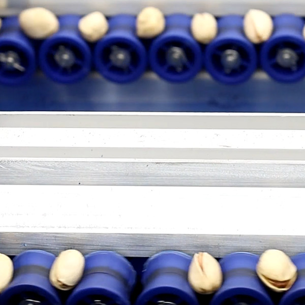 Buy cheap Labor Replacement 1.5 Ton/H Inshell Pistachio Nuts Sorting Machine With CE Certification from wholesalers