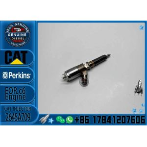 Buy cheap Injector 10R-7672 306-9380 2645A734 282-0490 2645A709 C6.6 E312D 313D 320D 321D from wholesalers