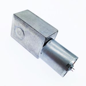 Faradyi Customized 370 High Torque Motor Self-Locking Gear Turbine Worm 24V Dc