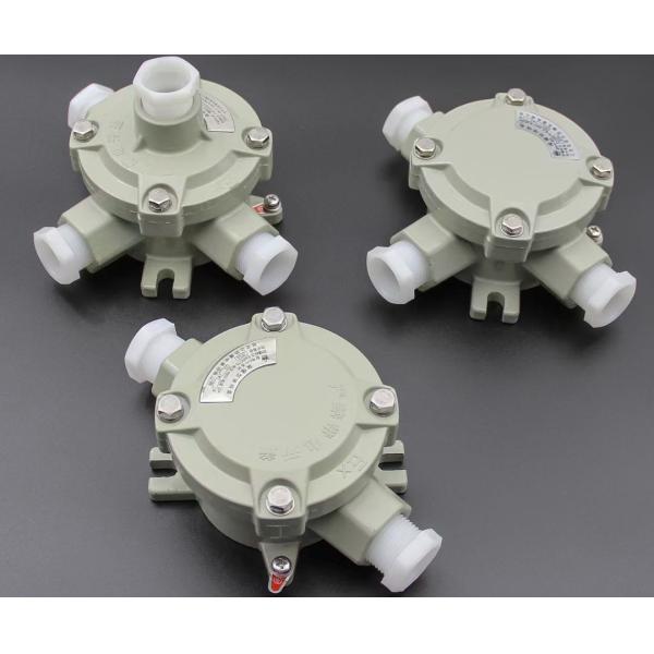 Quality WF2 Explosion Proof Junction Box IP65 Die-Cast Aluminum with 2/3 Cable Entries – Horizontal Mounting for sale