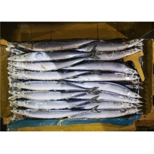 Buy cheap 60g 70g Bulk #1 High Protein Frozen Pacific Saury product