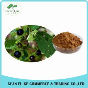 Buy cheap Atropa Belladonna Extract Powder Hyoscyamine 0.7% -1.5% from wholesalers