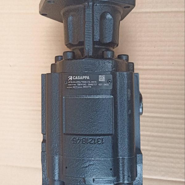 Quality High Guarantee Dieci BHD3119 Hydraulic Pump Casappa 799141AS for sale