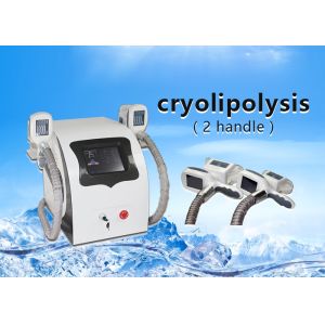 Buy cheap Portable two Handles Cryolipolysis Slimming Machine , Body Sculpting Machine from wholesalers
