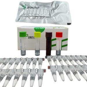 Buy cheap 14 Months Validity EXO Pseudomonas Aeruginosa Pathogen Detection Kit from wholesalers