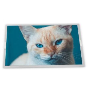 Buy cheap A035QN01 V9 3.5 inch 320*240 Automotive Display lcd display cheap price lcd screen TFT Complete range of industrial screens from wholesalers