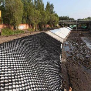Buy cheap Textured And Perforated Plastic Honeycomb HDPE Geocell Gravel Grid For Road Construction Stabilization from wholesalers