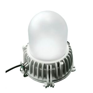 Hazardous Location Explosion Proof Lighting , IP65 Flameproof Light Fittings
