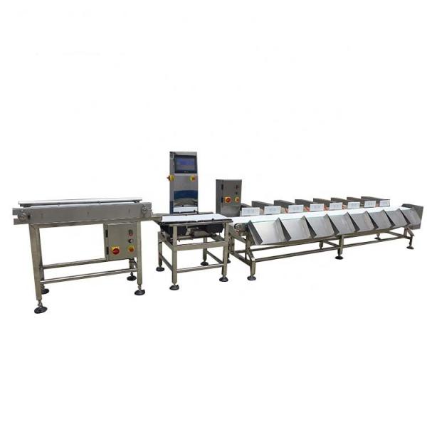 Buy cheap Fresh Seafood SUS304 Automatic Weight Sorting Machine from wholesalers