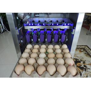 Automatic Continuous Industrial Egg Inkjet Printing Machine With Best Service