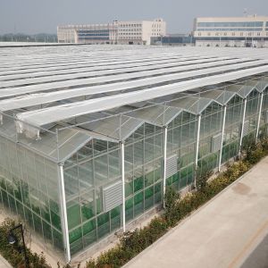 Buy cheap Full Set of Agricultural Greenhouses with Galvanized Skeleton and Easy to Install product