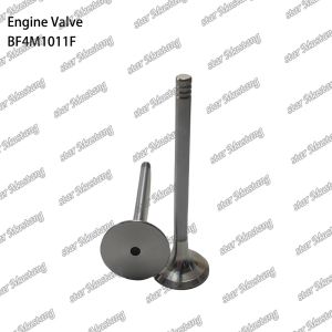 Buy cheap BF4M1011F Engine Piston Valve For Deutz Engine Spare Parts product